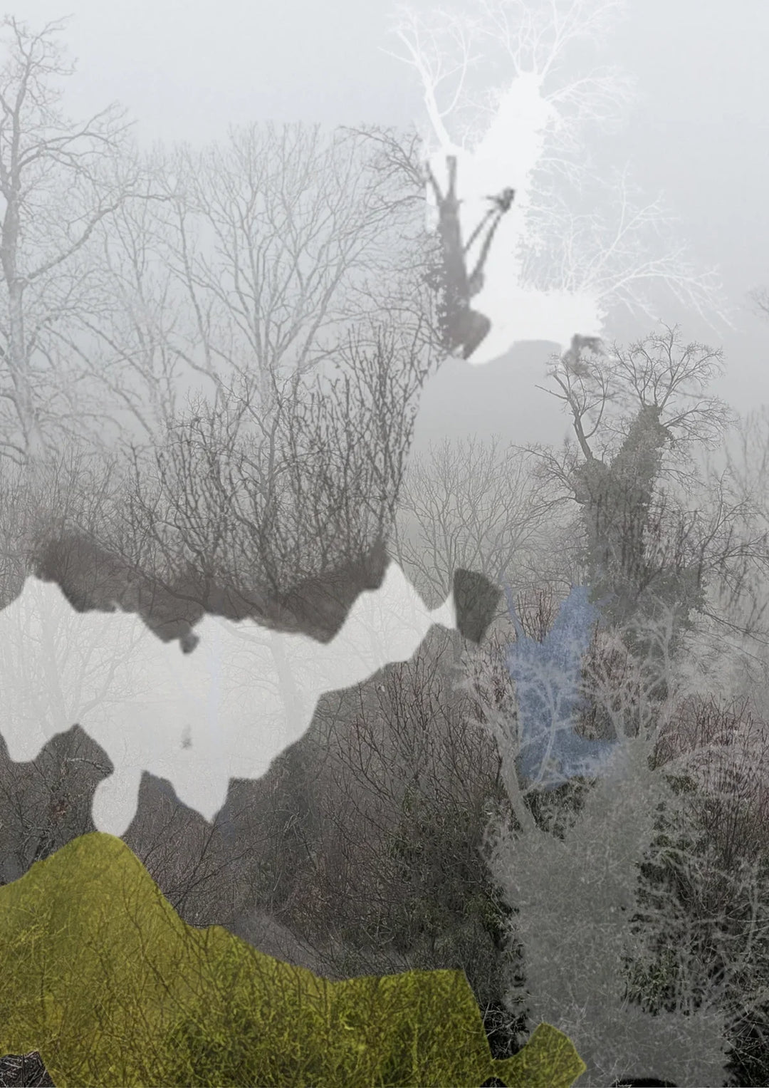 Parfums für den Winter 2026