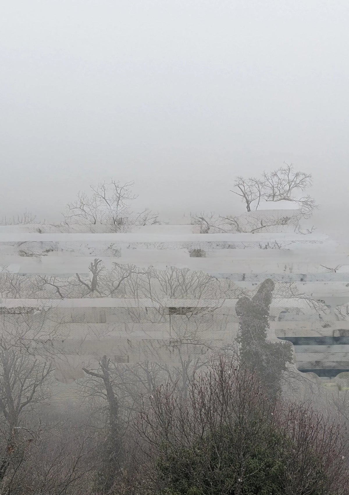 Parfums für den Winter 2026