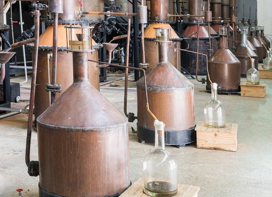 Steam distillery