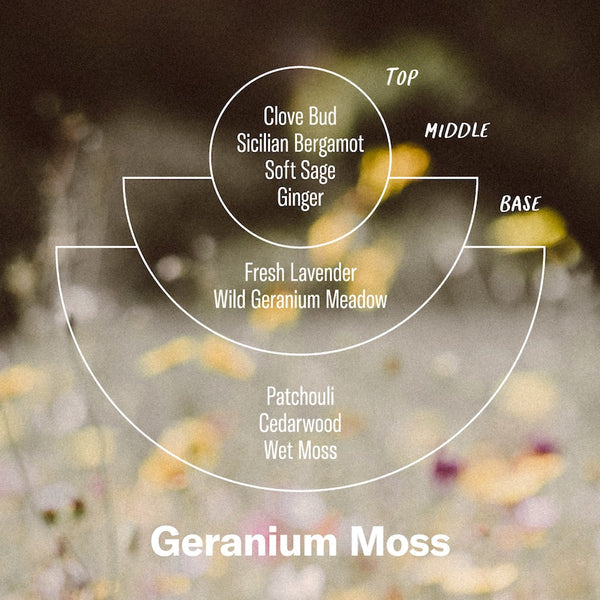 Profilo del profumo Geranium Moss della linea Alchemy