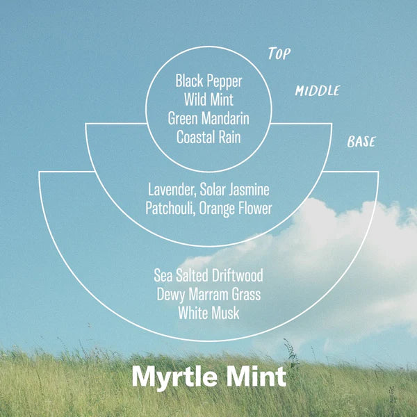 Perfil olfativo Alchemy Line Myrtle Mint