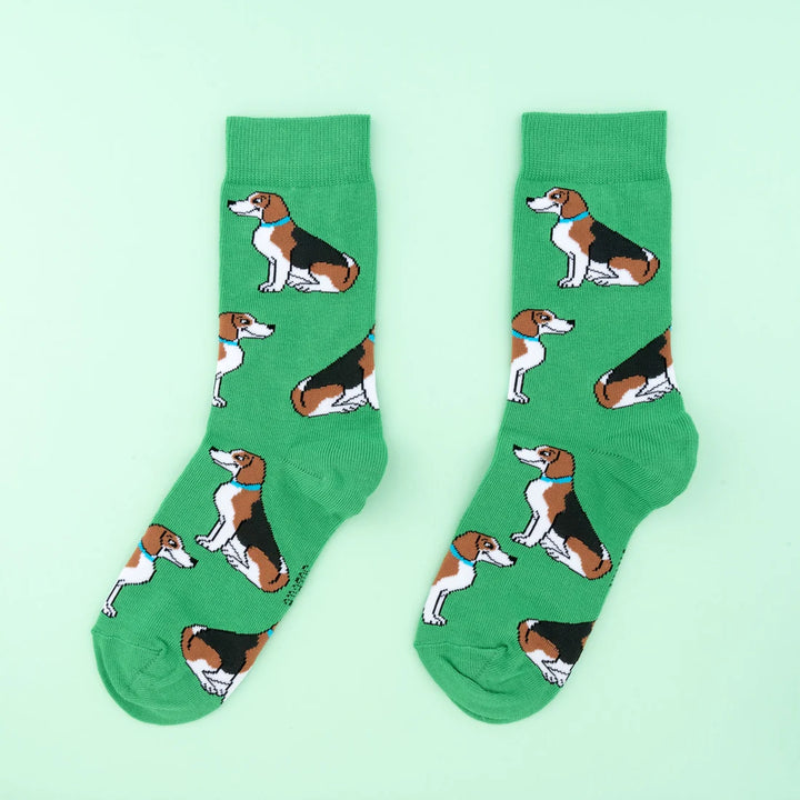 Beagle Dog Patterned Socks von Coucou Suzette - vor grünem Hintergrund