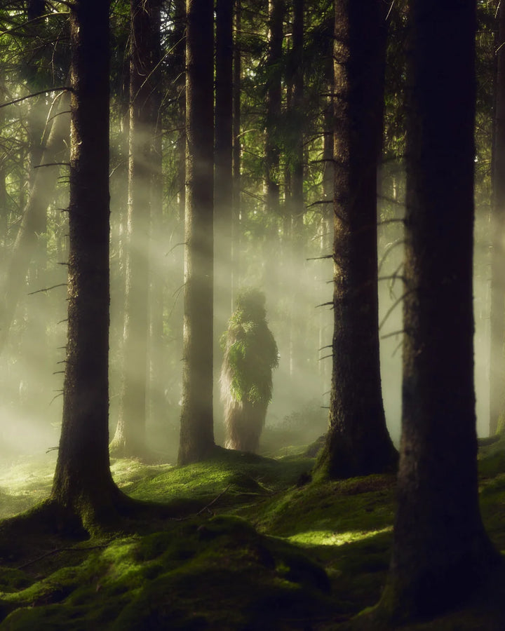 Dunkler, moosbewachsener Nadelwald im Morgennebel – die erdige Duftwelt von Övernatur