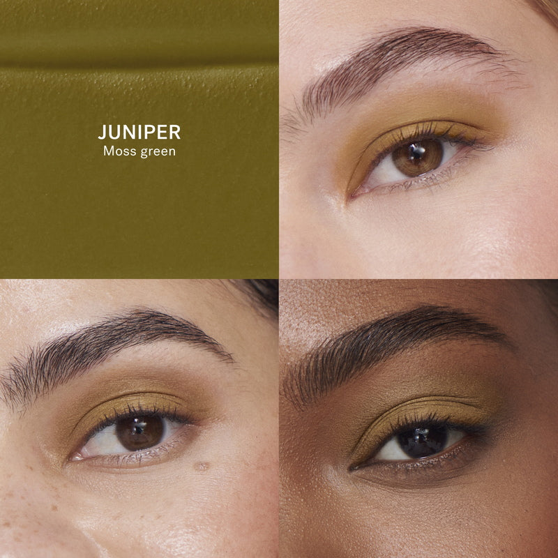Ilia Liquid Powder Eye Tint - Matte Juniper Comparison