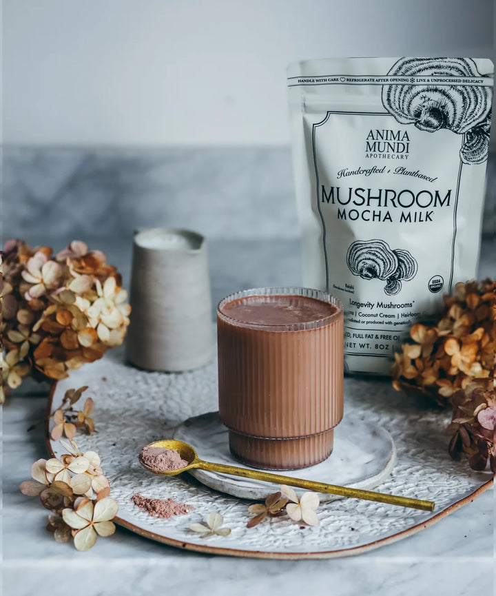 Mushroom Mocha Milk: Adaptogenic Creamer von Anima Mundi