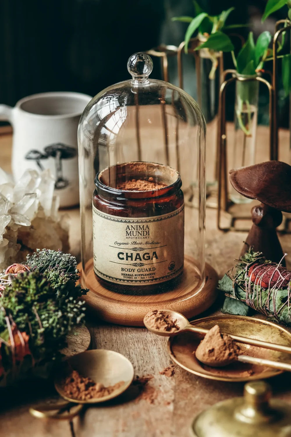 Chaga Body Guard von Anima Mundi