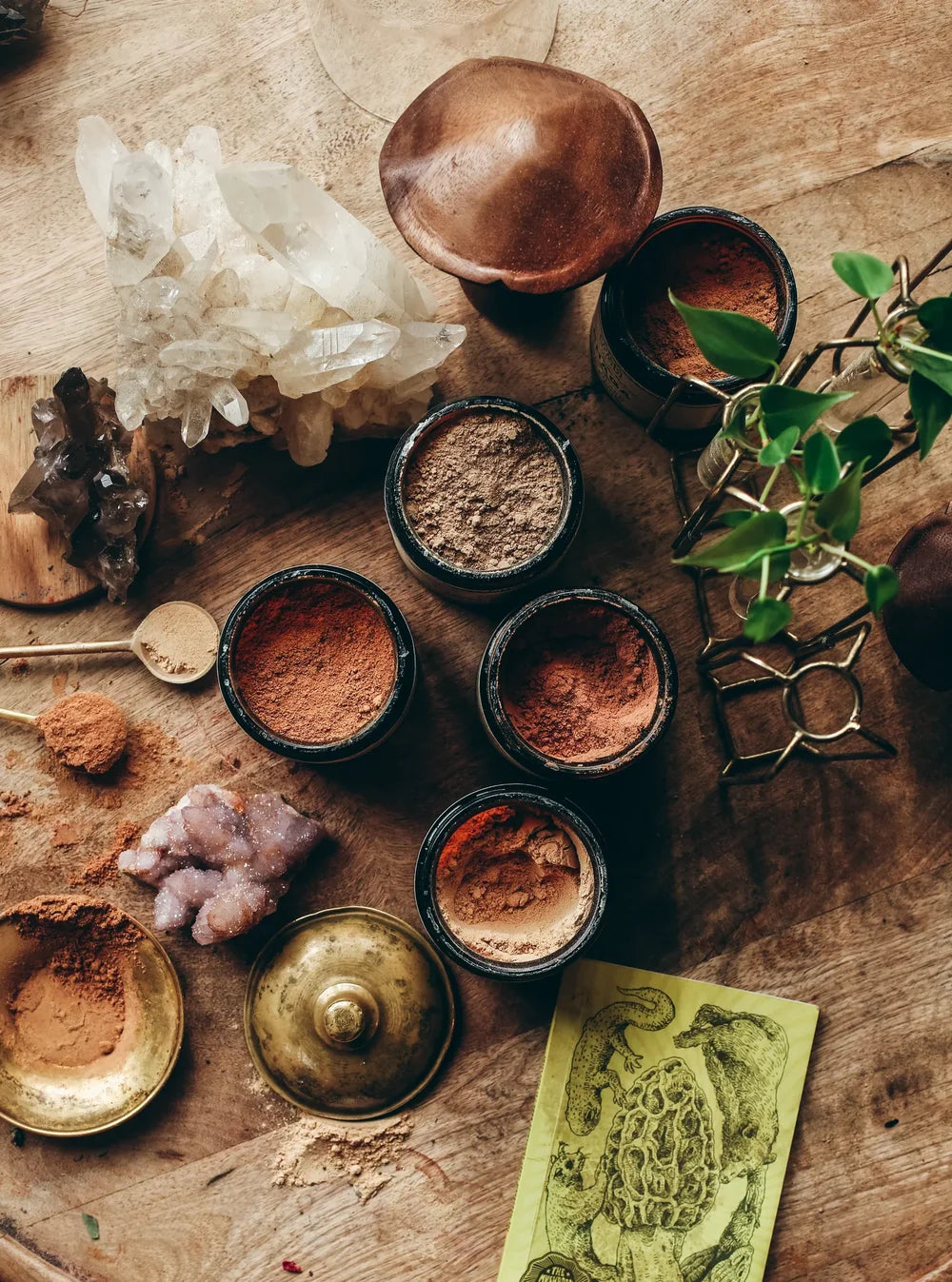 Anima Mundi Chaga Bio-Pilzpulver 142 g mit offenem Deckel