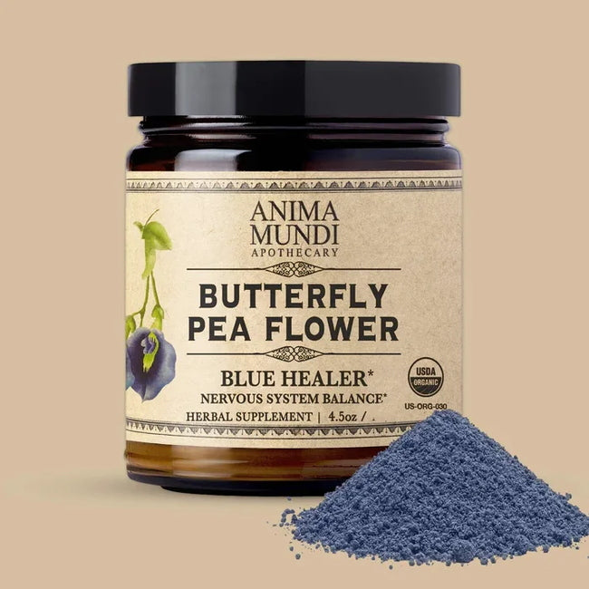 Butterfly Pea Flower: Blue Healer - beige background