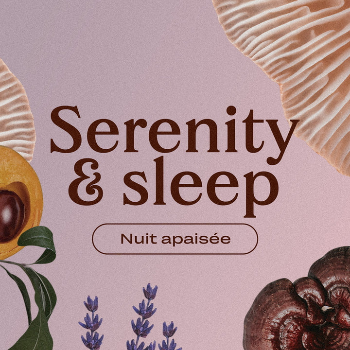 Cosmic Dealer Notte di cacao e lavanda | Serenità del sonno tranquillo