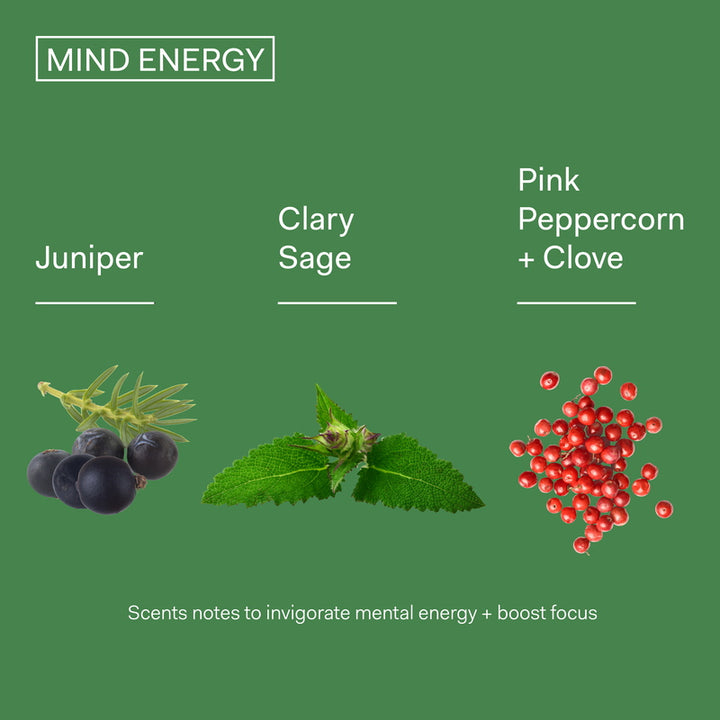 The Nue Co. Mind Energy - Scent Notes