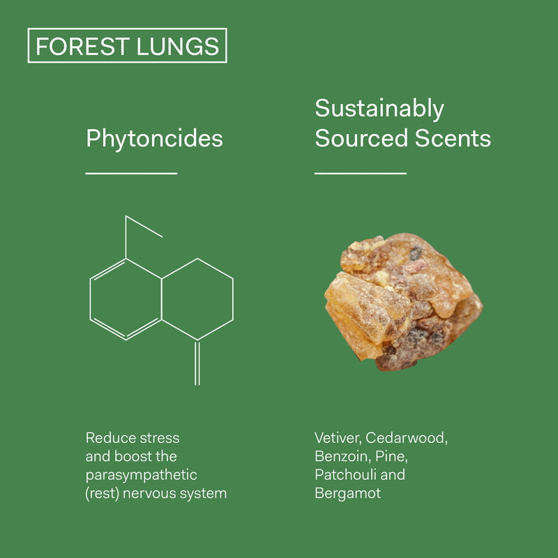 The Nue Co. Pulmones del bosque - Ingredientes