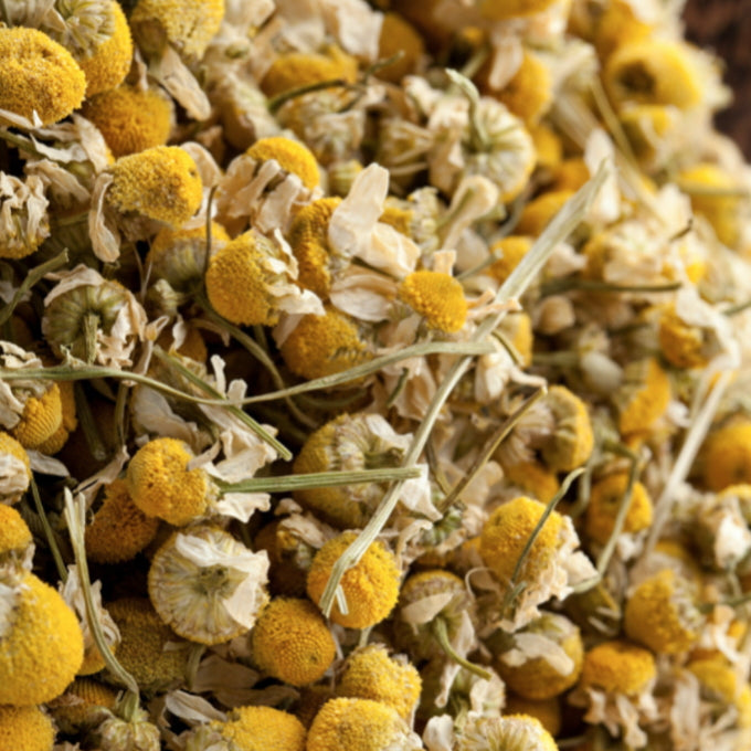 Relax Tonic: Nervous System Support - Chamomile