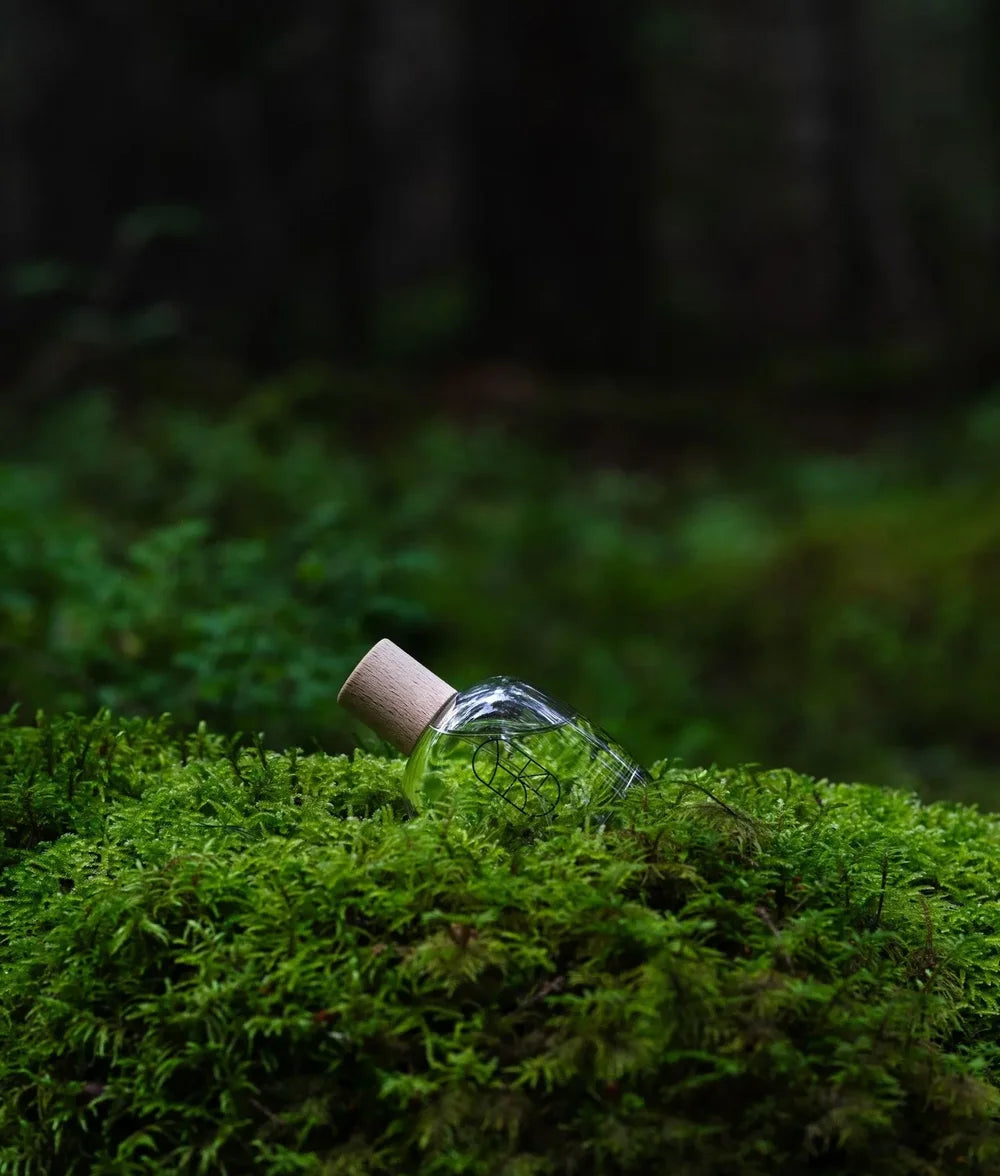 EN Eau de Parfum von WA:IT Botanicamente