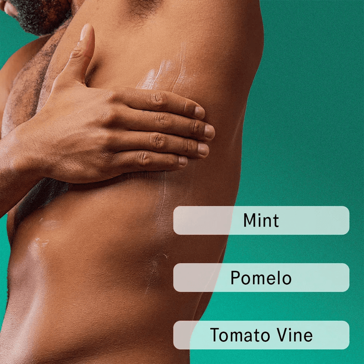 The Body Conditioning Balm SC.04 Halycon Summers 100 ml - Blanda Beauty