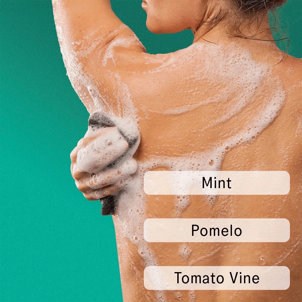 The Body Wash Concentrate SC.04 Halycon Summers 100 ml - Blanda Beauty