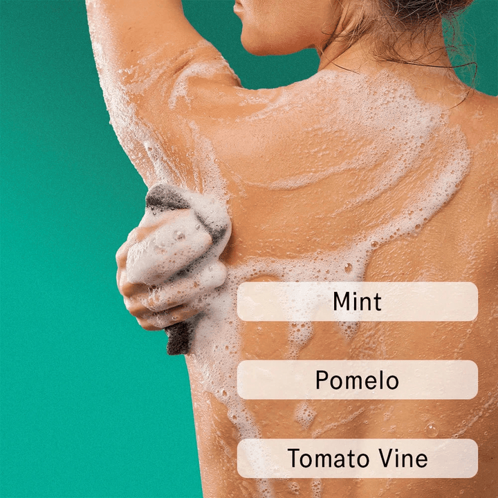 The Body Wash Concentrate SC.04 Halycon Summers 100 ml - Blanda Beauty