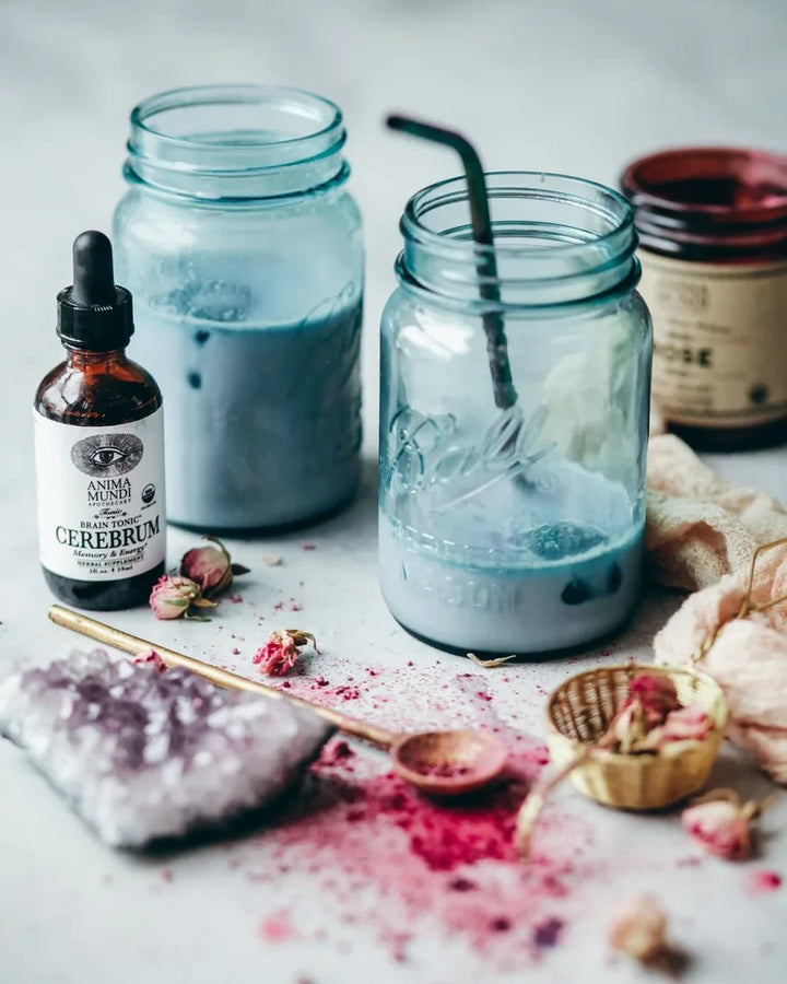 Anima Mundi CEREBRUM Tonic | Nootropic + Cognitive Support - Mood Smoothie