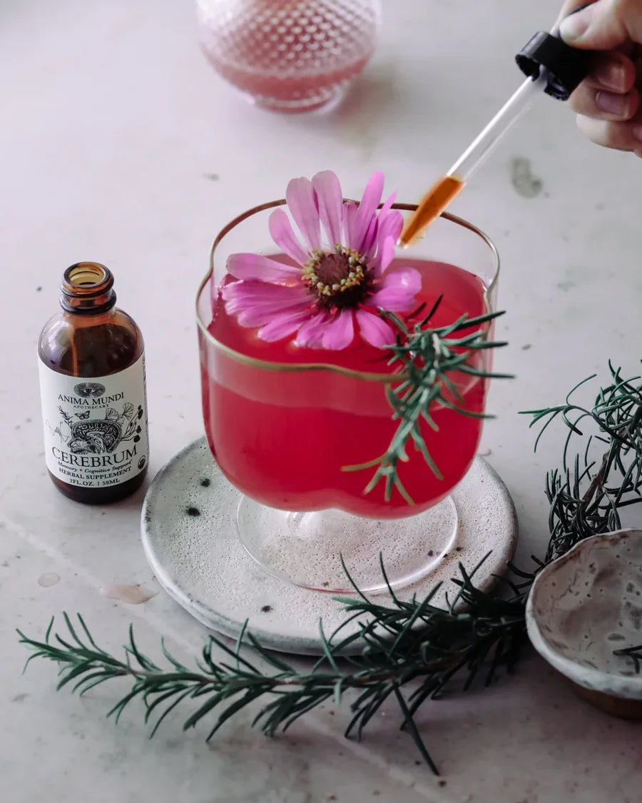 Anima Mundi CEREBRUM Tonic | Nootropic + Cognitive Support - Preparation