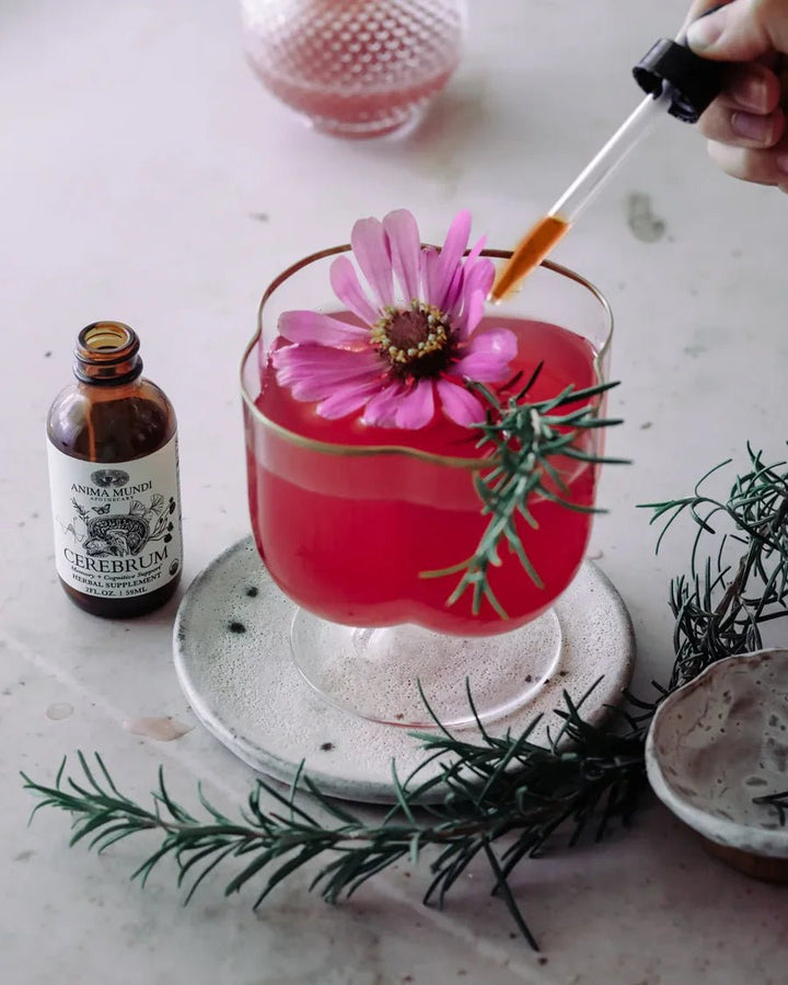 Anima Mundi CEREBRUM Tonic | Nootropic + Cognitive Support - Preparation