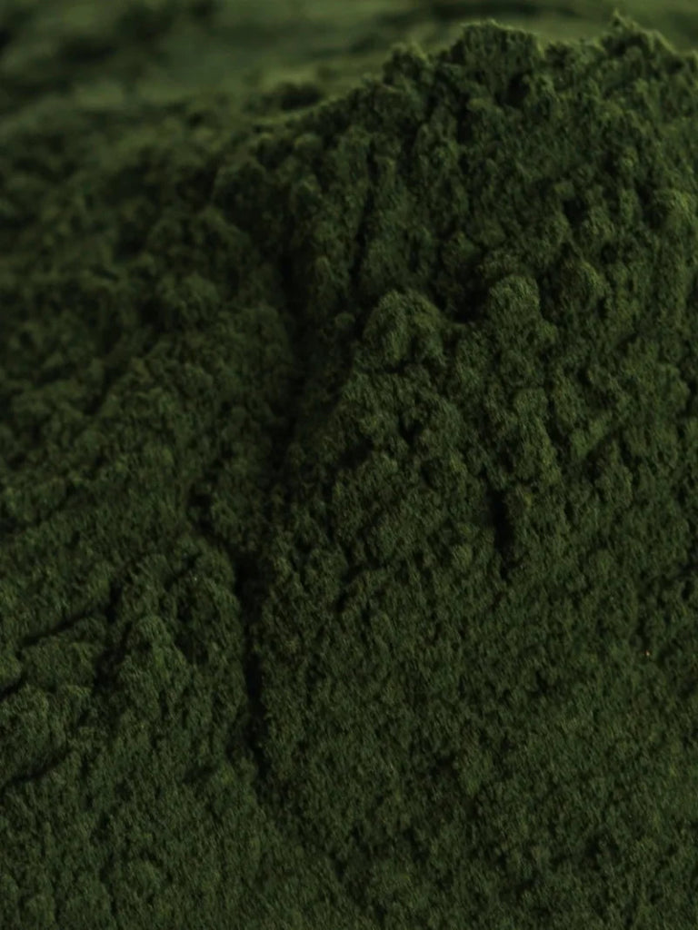 Anima Mundi Chlorella - Pulver