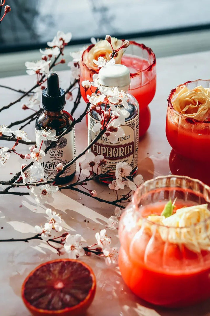 Anima Mundi Euphoria Elixir | Mood, Joy & Bliss  - Saft Mood
