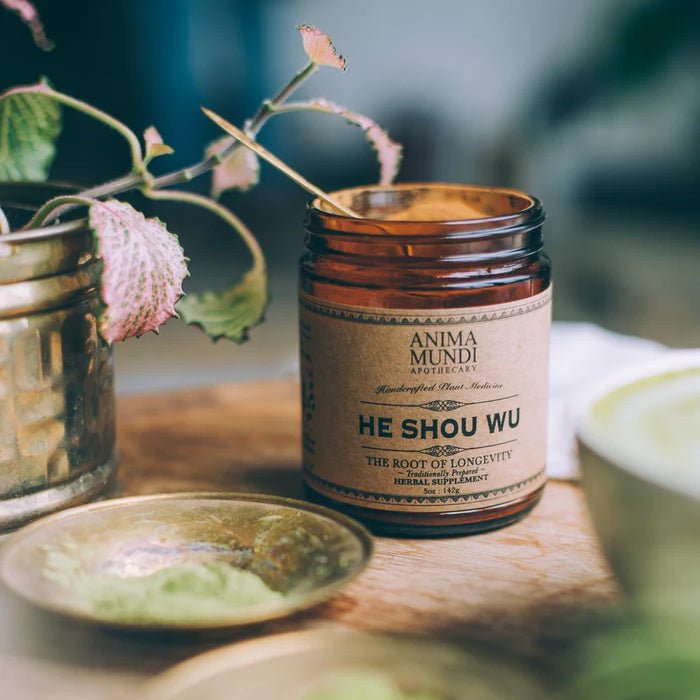 Geöffnetes Glas mit He Shou Wu Pulver - natürliches Anti-Aging