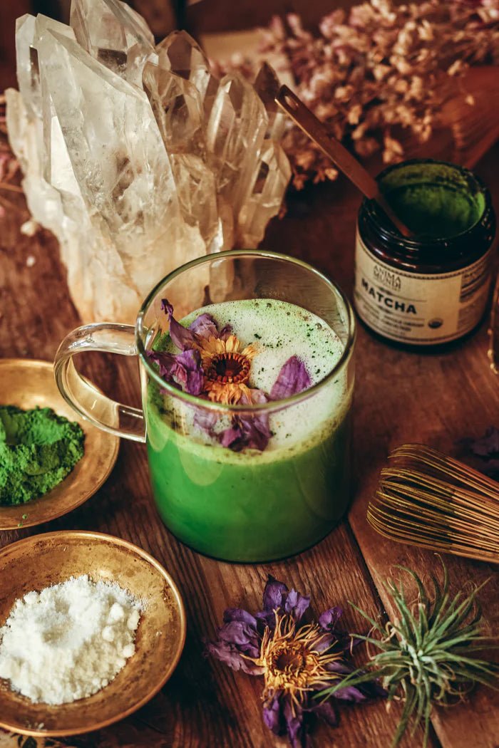 Anima Mundi Matcha Organic + Ceremonial Grade Mood 2