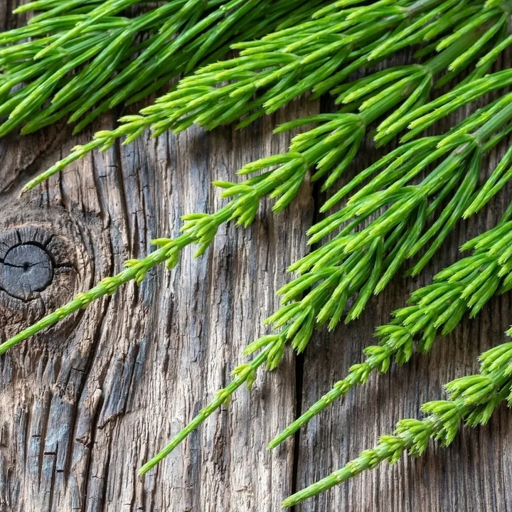 Mineral House Tea | Strengthen + Mineralize 56,6 g - Blanda Beauty