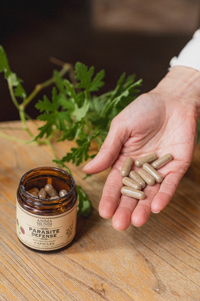 Anima Mundi Parasite Defense | Gut Protection Capsules - Mood Model