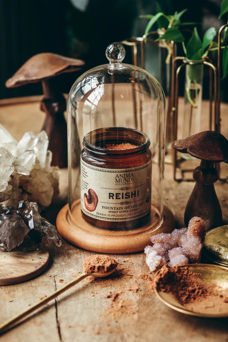 Reishi: Spirito Super Tonico Fontana della Giovinezza Davanzale Vita 2