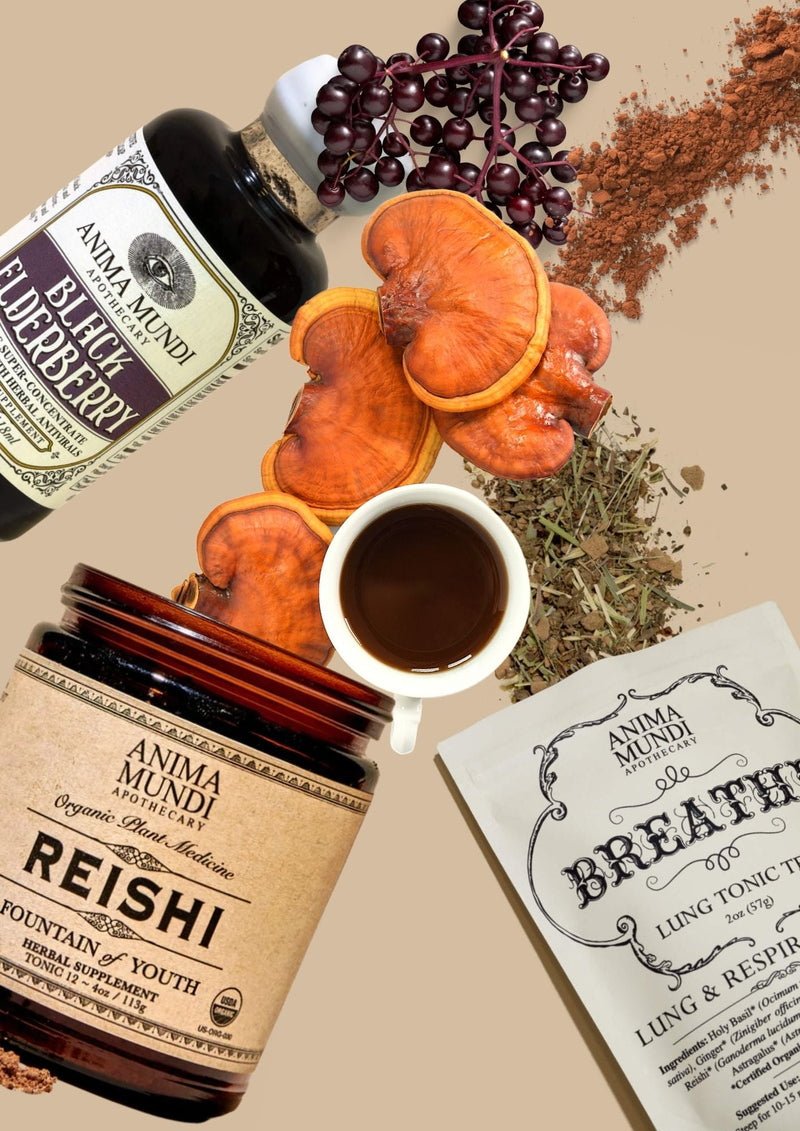 Reishi: Collage Spirit Super Tonic Fontana della Giovinezza