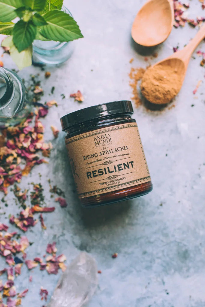 Anima Mundi Resilient Powder | Adaptogens + Cacao - Mood