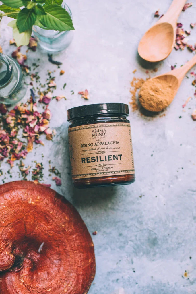 Anima Mundi Resilient Powder | Adaptogens + Cacao - Mood 2