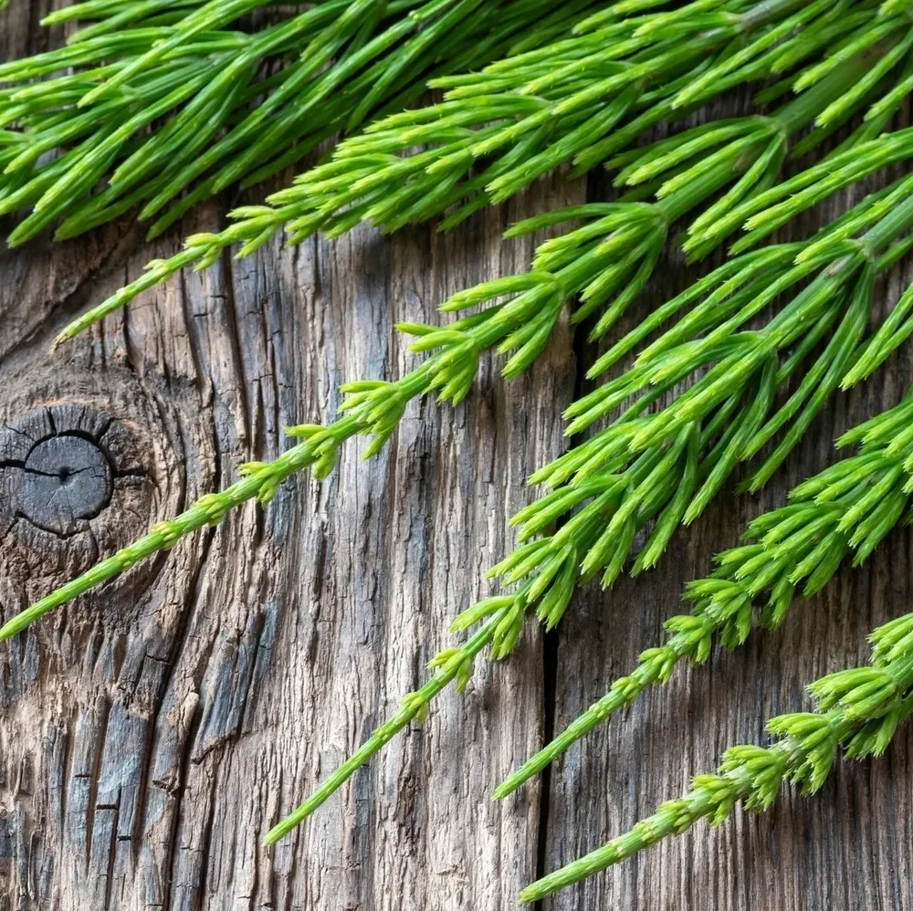 Rose Body Oil | Restorative + Moisturizing 118 ml - Blanda Beauty