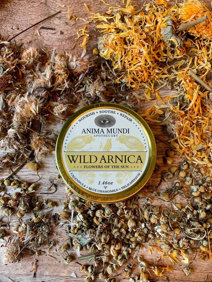 Anima Mundi Wild Arnica Balm - alte Heilpflanze