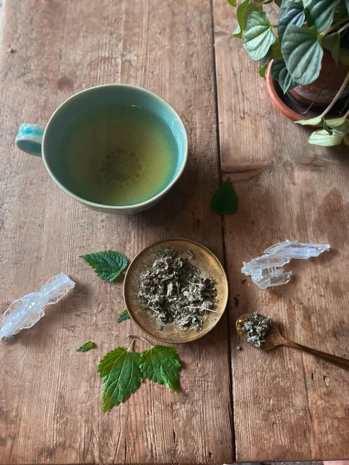 Womb Tea: Nourish + Empower Still Life 2