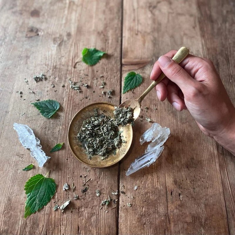 Womb Tea: Nourish + Empower Mood Still Life