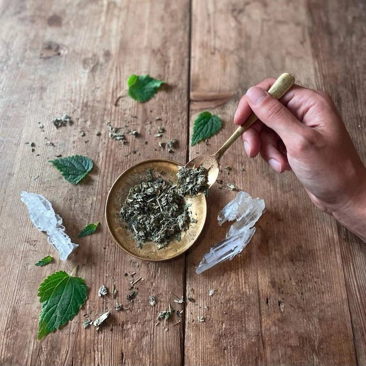 Womb Tea: Nourish + Empower Mood Still Life