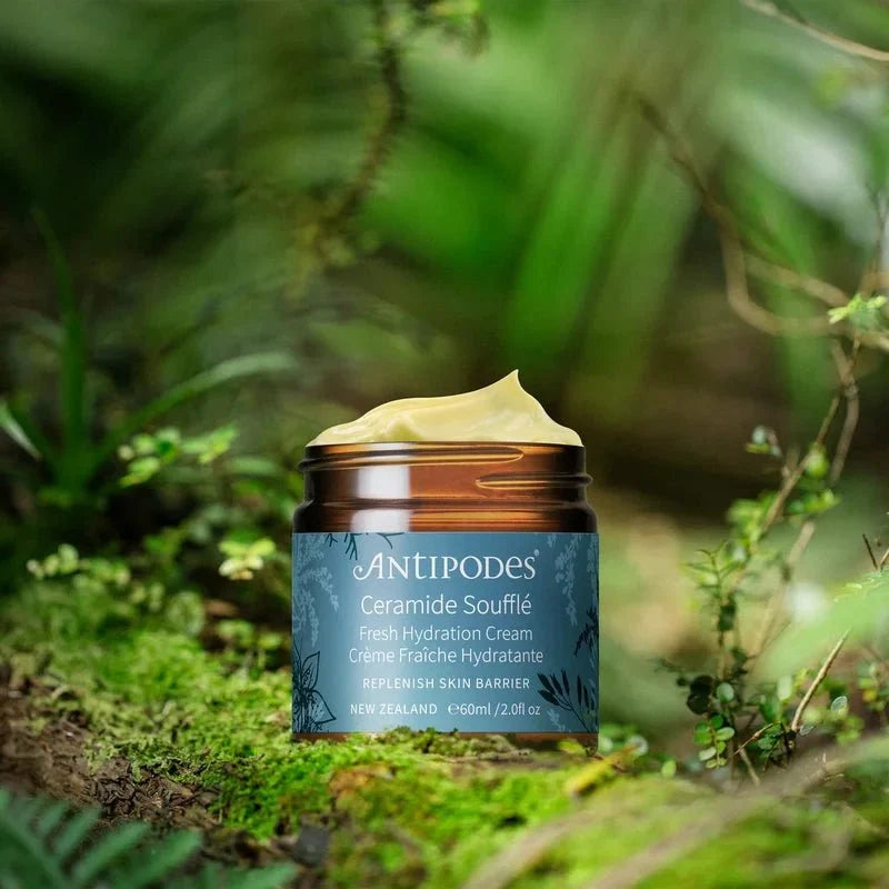 Ceramide Soufflé Fresh Hydration Cream