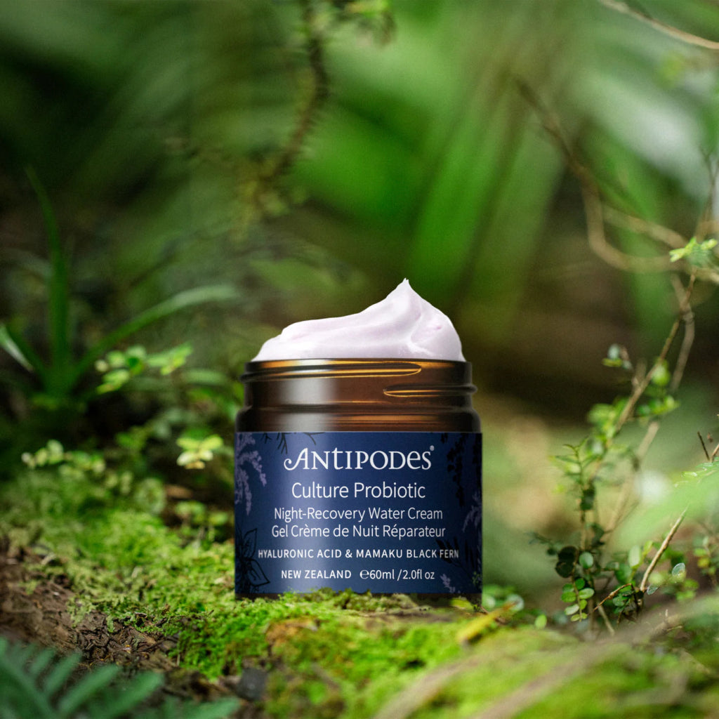 Culture Probiotic Night Recovery Water Cream and Nature