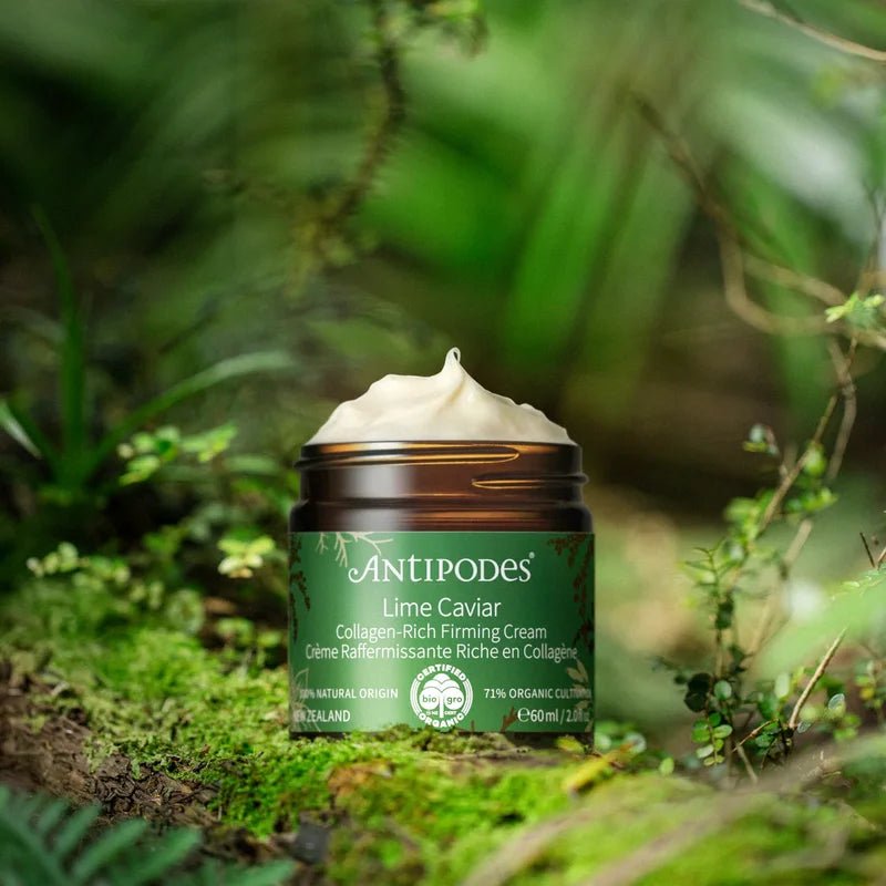 Lime Caviar Collagen-Rich Firming Cream in Nature