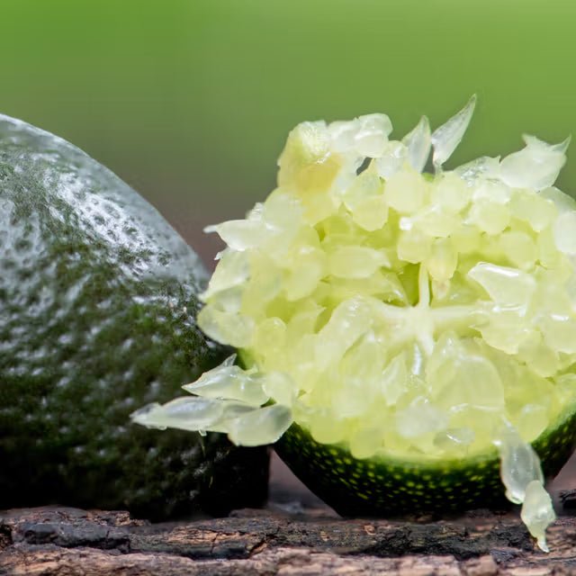 Lime Caviar