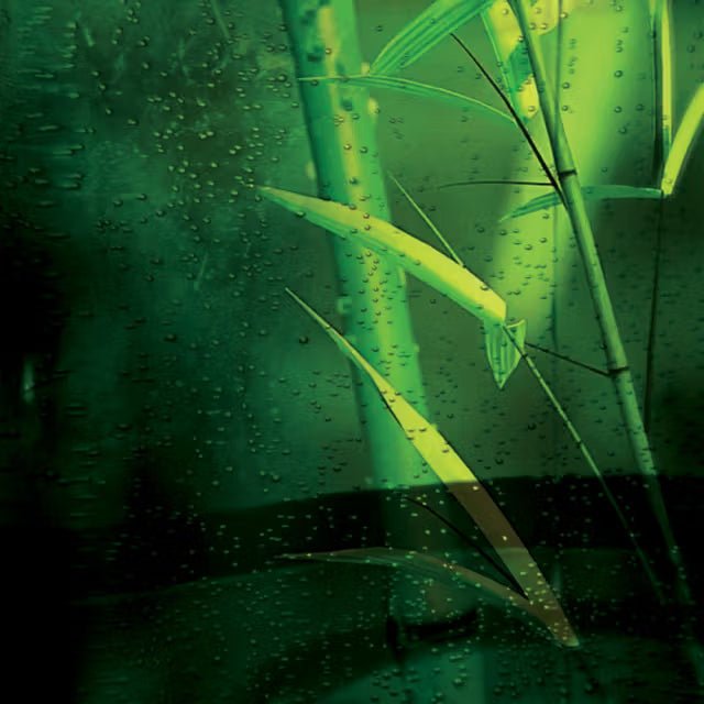 Bamboo Ferment