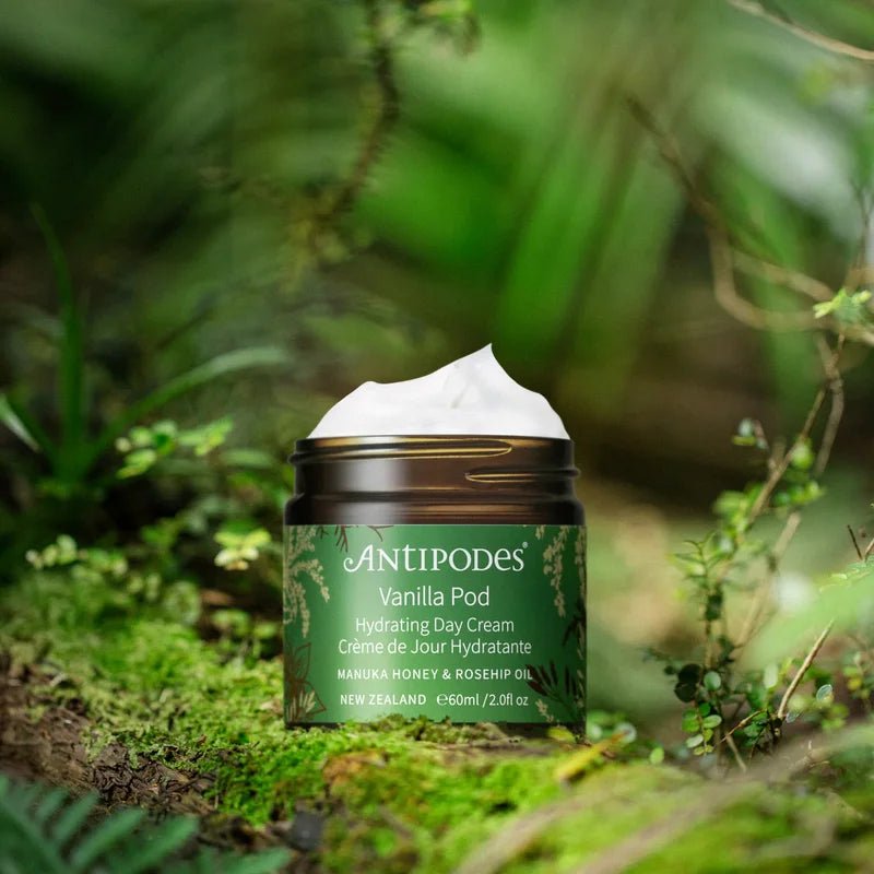 Vanilla Pod Hydrating Day Cream in Nature