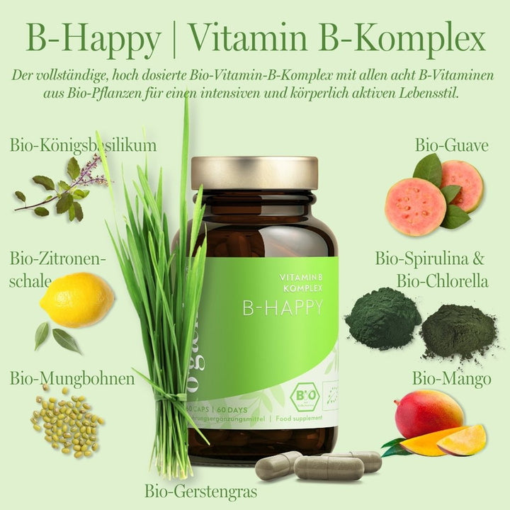 Ingredientes del complejo de vitamina B orgánico B-Happy