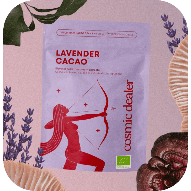 Queen of Cacao Collection 480 g - Blanda Beauty