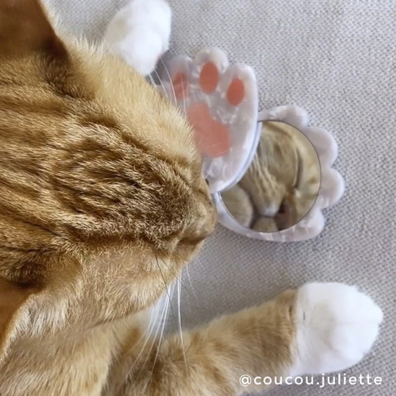 Coucou Suzette Cat Paw Mirror - Mood with Cat