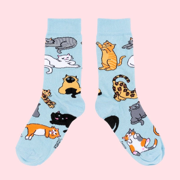 Coucou Suzette Meow Socks - product photo pink background