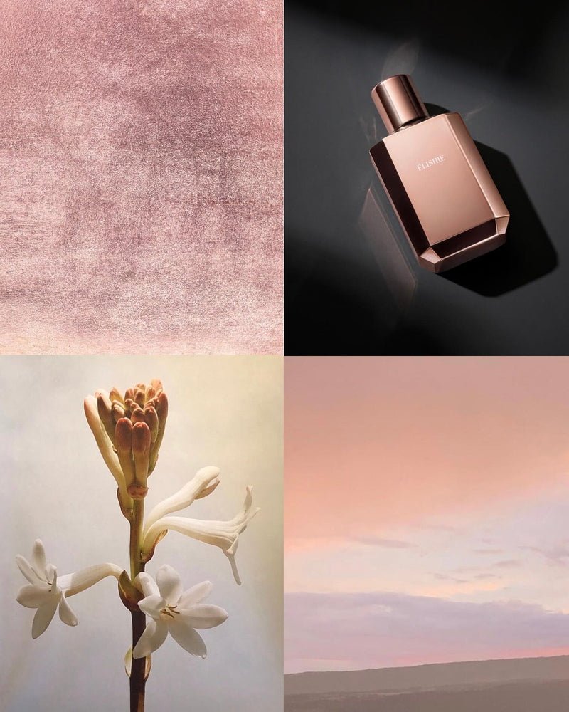 Élisire Érose – Blanda Beauty