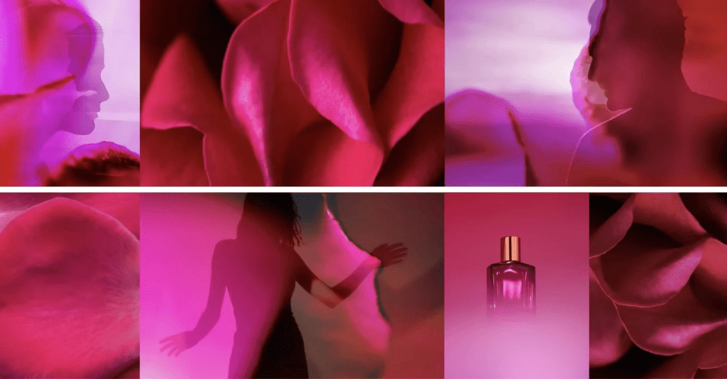 In Fabula - Blanda Beauty